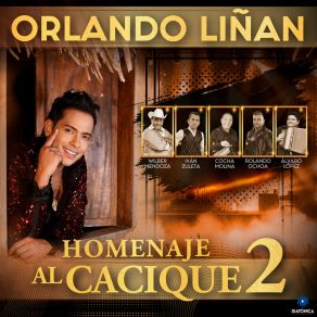 Homenaje Al Cacique, Vol. 2 album cover