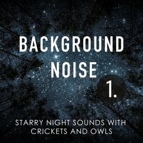 Background Noise: Starry Night Sounds With Crickets And Owls album cover