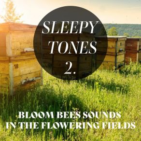 Sleepy Tones: Bloom Bees Sounds In The Flowering Fields 2 album cover