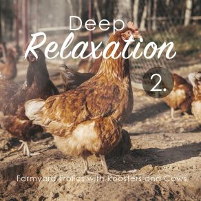 Deep Relaxation: Farmyard Frolics With Roosters And Cows 2 album cover