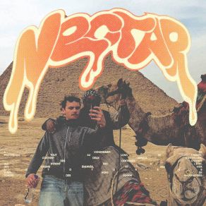 NECTAR album cover