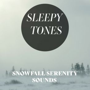 Sleepy Tones: Snowfall Serenity Sounds album cover