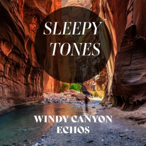 Sleepy Tones: Windy Canyon Echoes album cover