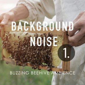 Background Noise: Buzzing Beehive Ambience album cover