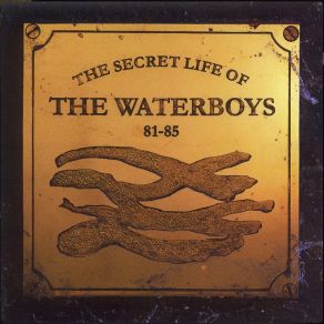 The Secret Life Of The Waterboys album cover