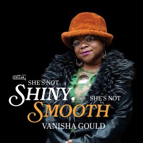 She's Not Shiny, She’s Not Smooth album cover