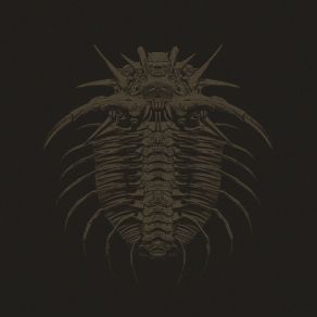 Baikon album cover