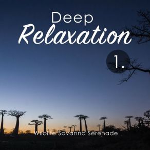 Deep Relaxation: Wildlife Savanna Serenade album cover