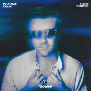 Voices (Remixes) album cover