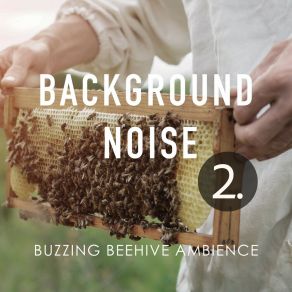 Background Noise: Buzzing Beehive Ambience 2 album cover