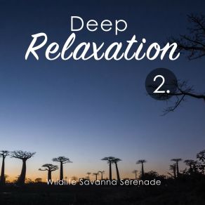 Deep Relaxation: Wildlife Savanna Serenade 2 album cover
