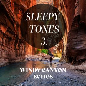Sleepy Tones: Windy Canyon Echoes 3 album cover