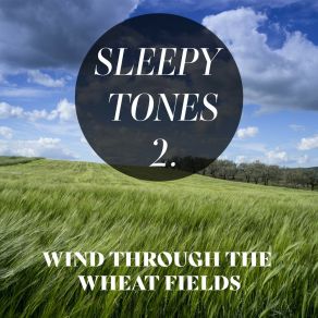 Sleepy Tones: Wind Through The Wheat Fields 2 album cover