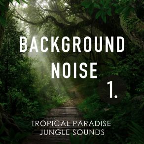 Background Noise: Tropical Paradise Jungle Sounds album cover