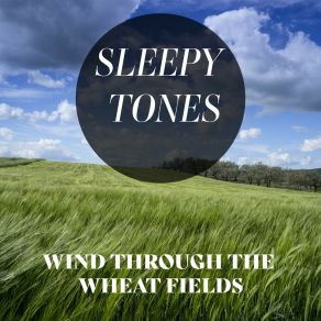 Sleepy Tones: Wind Through The Wheat Fields album cover