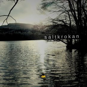Saltkrokan album cover