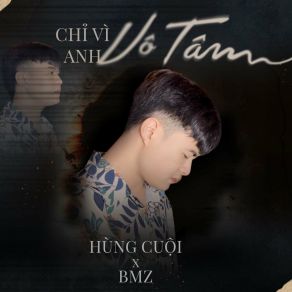 Chỉ Vì Anh Vô Tâm album cover