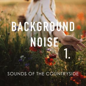 Background Noise: Sounds Of The Countryside album cover