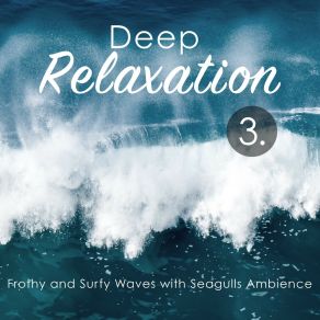 Deep Relaxation: Frothy And Surfy Waves With Seagulls Ambience 3 album cover