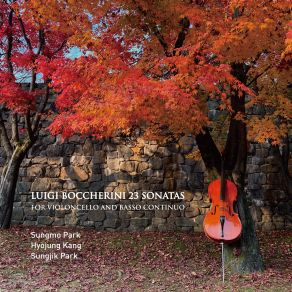 Luigi Boccherini 23 Sonatas For Violoncello And Basso Continuo (CD2) album cover