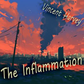 The Inflammation album cover