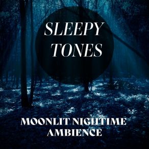 Sleepy Tones: Moonlit Nightime Ambience album cover