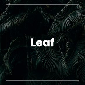Leaf album cover