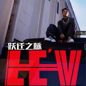 跃迁之脉 album cover