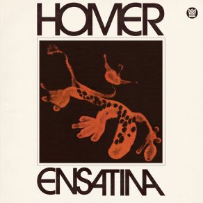 Ensatina album cover