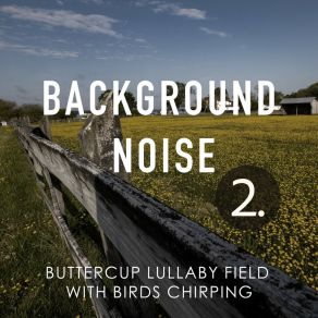 Background Noise: Buttercup Lullaby Field With Birds Chirping 2 album cover