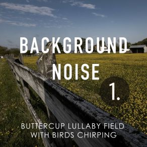 Background Noise: Buttercup Lullaby Field With Birds Chirping album cover