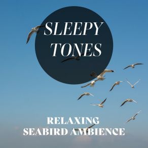Sleepy Tones: Relaxing Seabird Ambience album cover