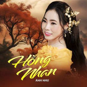 Hồng Nhan album cover