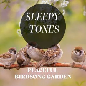 Sleepy Tones: Peaceful Birdsong Garden album cover