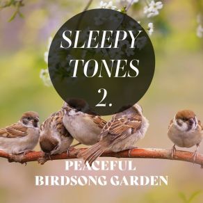 Sleepy Tones: Peaceful Birdsong Garden 2 album cover