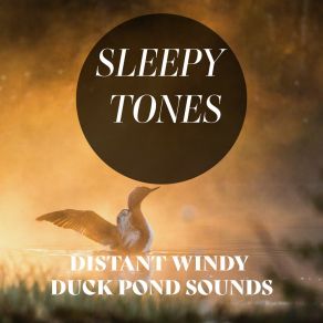 Sleepy Tones: Distant Windy Duck Pond Sounds album cover