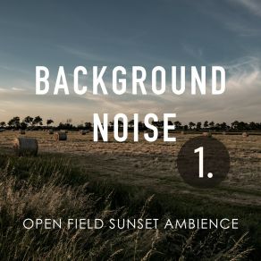 Background Noise: Open Field Sunset Ambience album cover