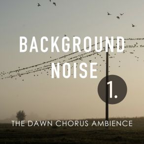 Background Noise: The Dawn Chorus Ambience album cover