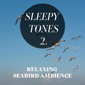 Sleepy Tones: Relaxing Seabird Ambience 2 album cover