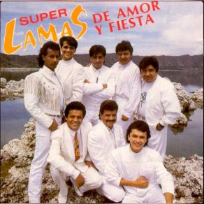 De Amor Y Fiesta album cover