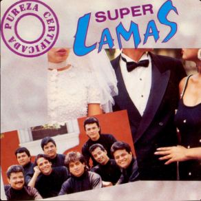 Pureza Certificada album cover