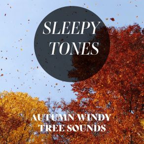 Sleepy Tones: Autumn Windy Tree Sounds album cover