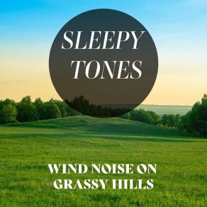 Sleepy Tones: Wind Noise On Grassy Hills album cover