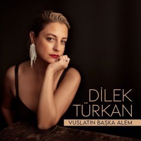 Vuslatın Başka Alem album cover