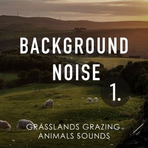 Background Noise: Grasslands Grazing Animals Sounds album cover