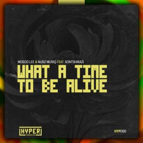 What A Time To Be Alive album cover