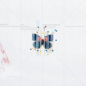 Scream Of The Butterfly album cover