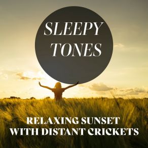 Sleepy Tones: Relaxing Sunset With Distant Crickets album cover