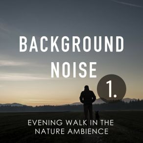 Background Noise: Evening Walk In The Nature Ambience album cover