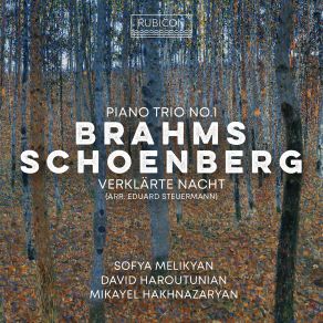 Brahms: Piano Trio No. 1 - Schoenberg: Verklärte Nacht album cover